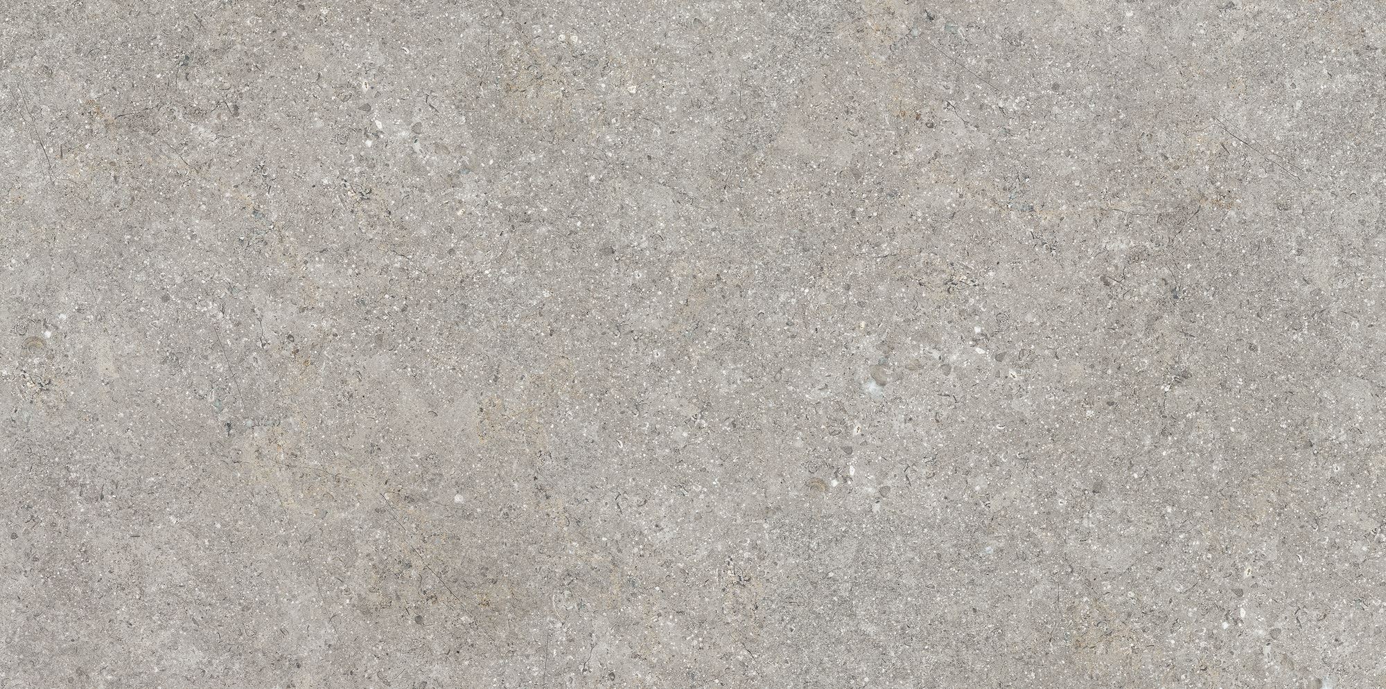 Barsoom Taupe M 60x120