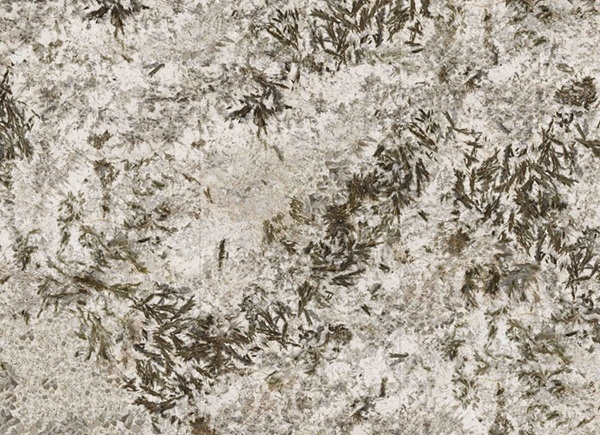 Frozen Fox 120x270 Polished 6 мм