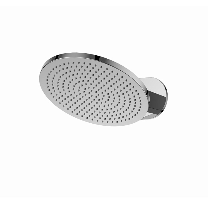 Верхний душ 25 см с настенным держателем сталь брашированная