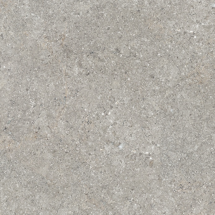 Barsoom Taupe R11 60x60 (20 mm)