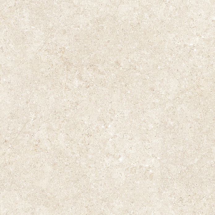Barsoom Beige R11 60x60 (20 mm)
