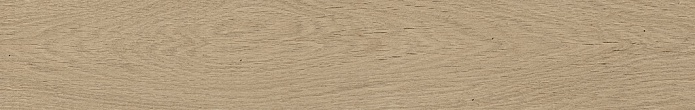 Forest Arce 14,3x90