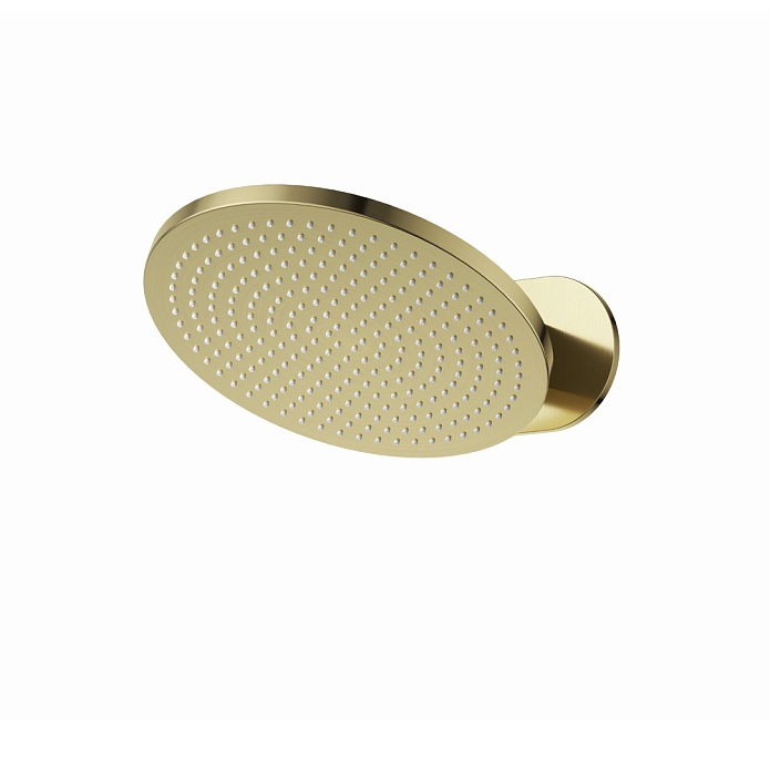 Верхний душ 25 см с настенным держателем латунь брашированная