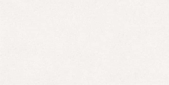 Saturn-WSM-F2 60x120 (10 мм)