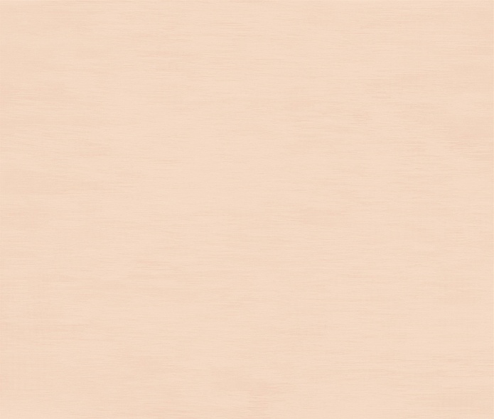 Valan Ges 120x280 Matt (6 мм)