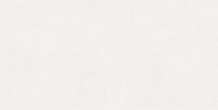 Saturn-WM-F4 60x120 (10 мм)