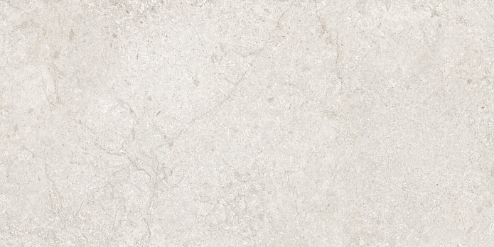 Nimes LRM 60x120 (10 мм)