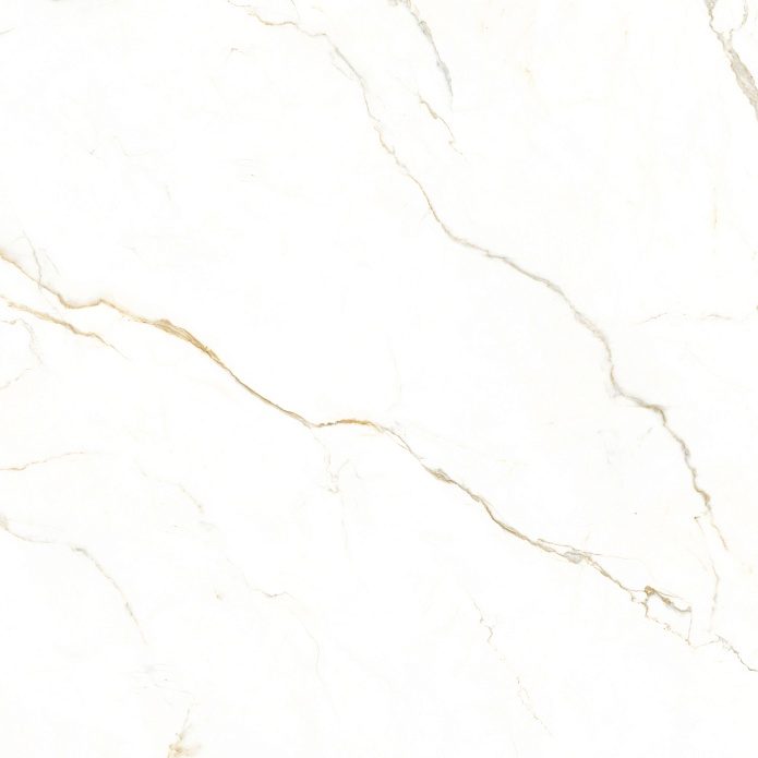 Calacatta Polido 120x120 Matt (9 мм)