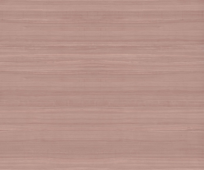 Euca Lyptus 120x300 Matt (6 мм)