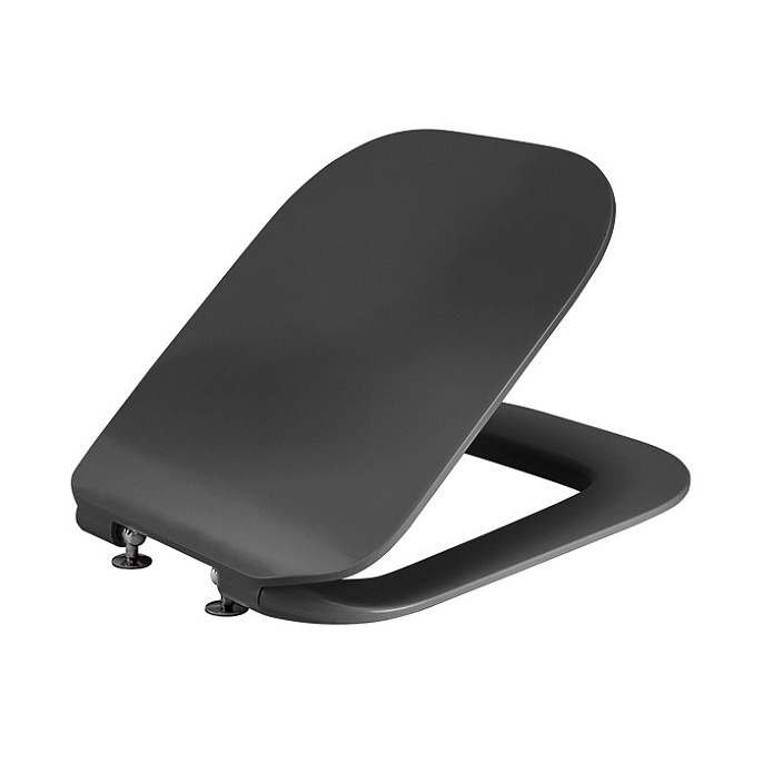 Essence-C Сиденье для унитаза с микролифтом черный