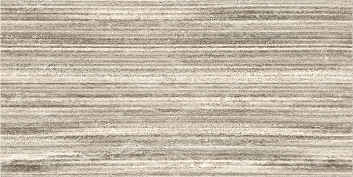 Neptune-YM-F1 60x120 (10 мм)