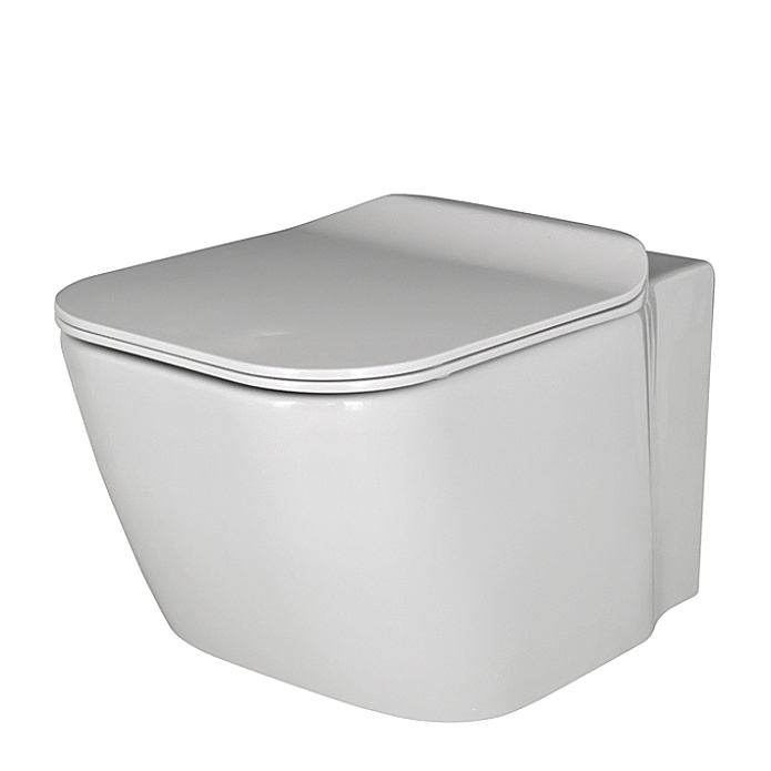 Essence-C Унитаз подвесной с креплениями белый