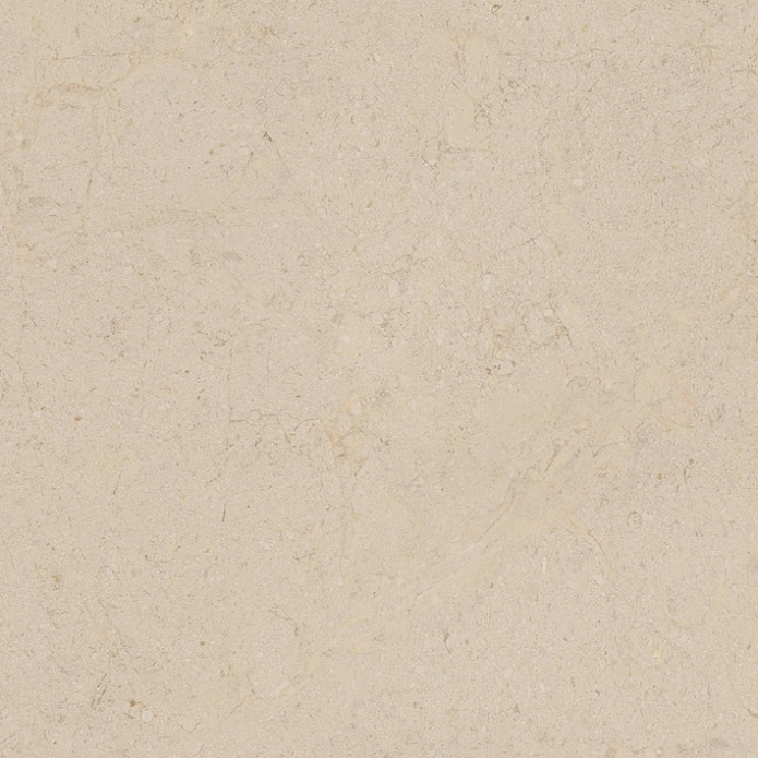 Dorcia Marfil L 80x80