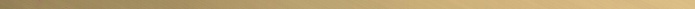 Listelo Line Gold 1x100