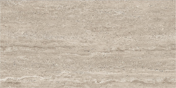 Neptune-YM 60x120 (10 мм)