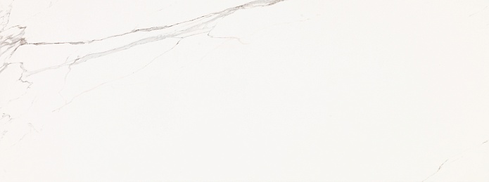 Artic Nature 45x120