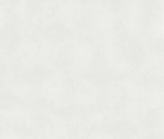 Tecnica White 120x280 Matt (6мм)