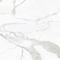 Calacatta Bianco 120x120 Matt (6 мм)