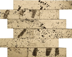 Luxury Modul Gold 30x29x1