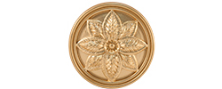 10x10 Taco Stella Gold