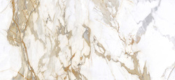 Calacatta Gold 120x280 Polished (6 мм)