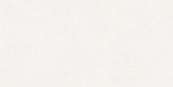 Saturn-WSM-F2 60x120 (10 мм)