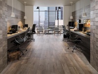 Коллекция Chester Line