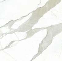 Calacatta Bianco 120x120 Polished (6мм)