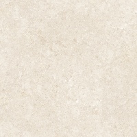 Barsoom Beige R11 60x60 (20 mm)