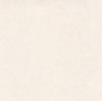 Vela Natural 120x120 Matt (9 мм)