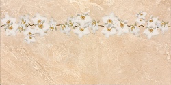 25x50 Luxor Orquidea