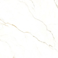Calacatta Polido 120x120 Matt (9 мм)