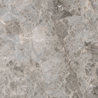 Elegant Grey Pulido L 120x120