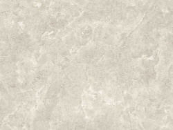 Platinum Leica 120x280 Polished (6 мм)