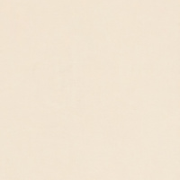 Fatima Bone 120x120 Matt (9 мм)