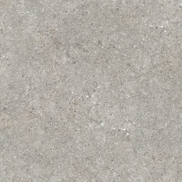 Barsoom Taupe R11 60x60 (20 mm)