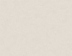 Seminato Beige 120x280 Matt (6 мм)