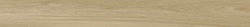Nobu Arce 19,3x180