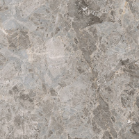 Elegant Grey Pulido L 120x120