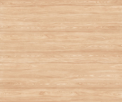 Woodbreak Oak 120x300 Matt (6 мм)