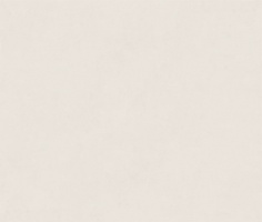 Terra Desert 120x280 Matt (6 мм)