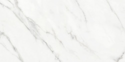 Massa-H 60x120 (9,5 мм)