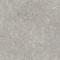 Barsoom Taupe M R11 60x60