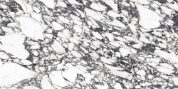 Viola Blue 120x250 Polished (6 мм)