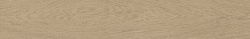 Forest Arce 14,3x90