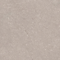 Coral Topo Ant. L 120x120
