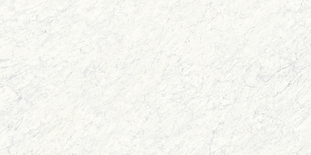 Xlight 120x250 Carrara White Polished (6 мм)