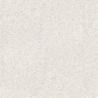 Treviso Blanco 120x120 (8 мм)
