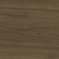 Xlight 160x320 Ewood Honey Nature (6 мм)