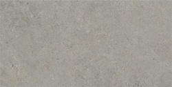 Emilia-TM 60x120 (10 мм)